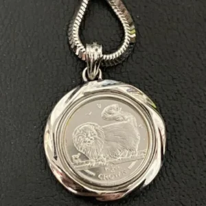 pt1000　コイントップネックレス